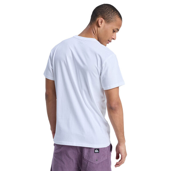 QUIKSILVER EV MINI LOGO TSHIRT - Image 11