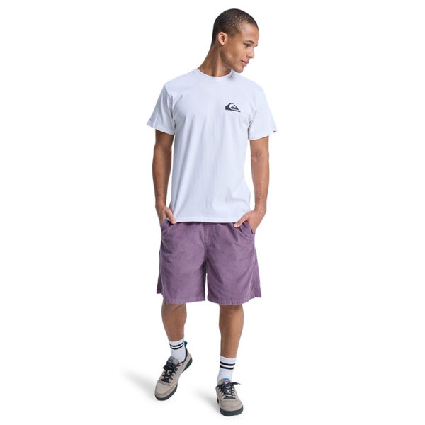 QUIKSILVER EV MINI LOGO TSHIRT - Image 10